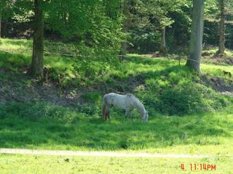 Lodge Holiday Home Le Risdoux Vireuxwallerand
