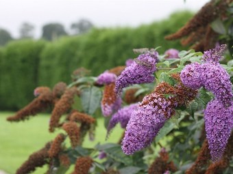 Hotel Cannards Grave Farmhouse - B&B