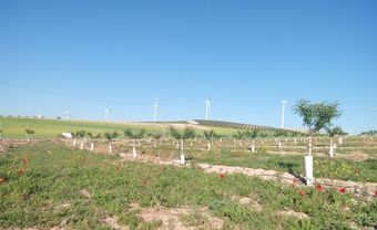 Bed & Breakfast Alojamiento Rural El Oregano