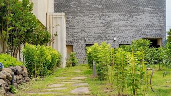 Namib Pool Villa Jeju