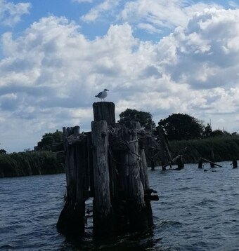 Apartamentos Wohnung Heringsdorf