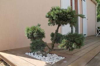 Apartamento Sweet Interiors Steph 44 M2 Proche De La Rochelle