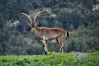 Agroturismo Masia Rural Canalisos