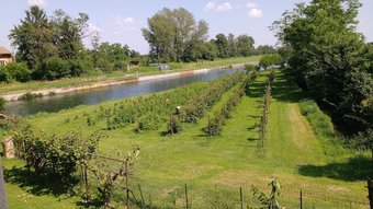 Bed & Breakfast Agriturismo Cascina Poscallone