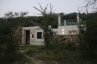 Apartamento Trees & Tigers