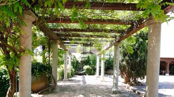 Hotel Finca Casa Palacio (10 Min Puy Du Fou , 6 Km Toledo)