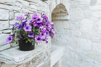 Ariadni Studio Cottage