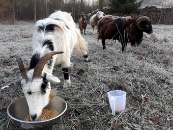 Hotel Chambres D'h�tes La Bourbelle