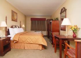 Hotel Comfort Inn & Suites Leeds