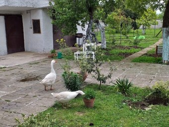 Bed & Breakfast Girasole