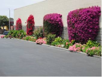 Motel Discovery Inn Monterey Bay