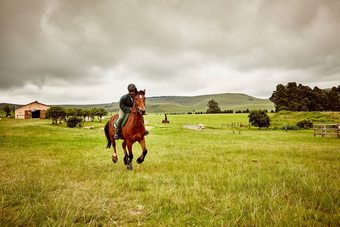 Apartamentos First Group Midlands Saddle And Trout