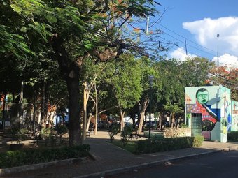 Apartamentos Modern & Sexy Downtown Studio