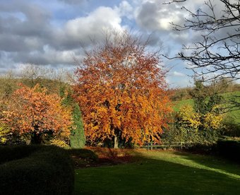 Bed & Breakfast Valley View Farm