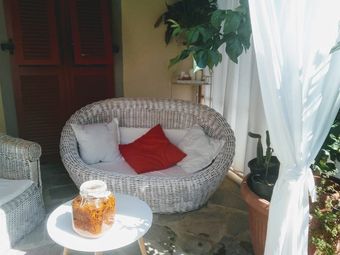 Bed & Breakfast Gingerbread Home