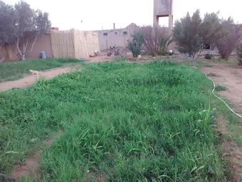 Hotel Maison  D'h�te Sahara La Belle Vue