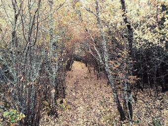 Hotel Chambres D'hotes La Maguette