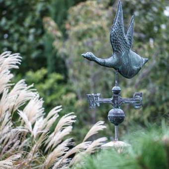 Seehotel & Restaurant Die Ente