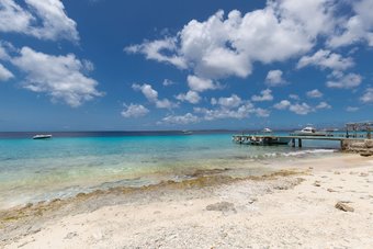 Blachi Koko Apartments Bonaire