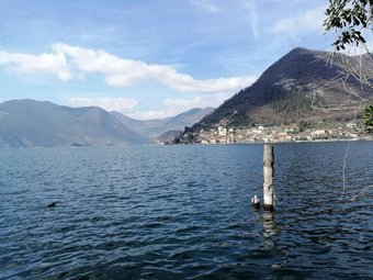 Apartamento Iseolakerental - Casa Rododendro