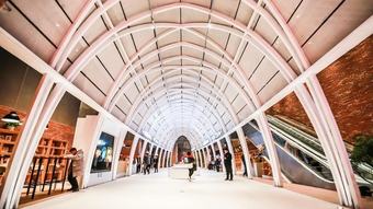 Hotel Mangrove Tree Resort World Coconut Grove