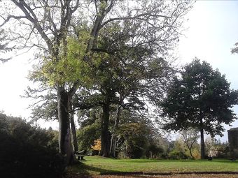 Domaine De La Haye D'ir�e