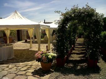 Agroturismo Societ� Agricola Mg Florplant