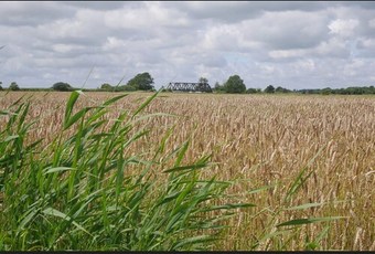 Apartamentos Ferienwohnung Am Glockenturm