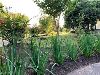 Bed & Breakfast America Sandman B & B