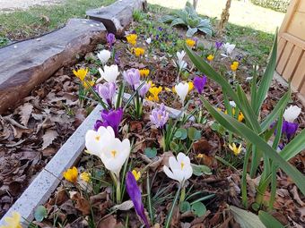 Bungalow With One Bedroom In Maserno, With Pool Access And Furnished Garden