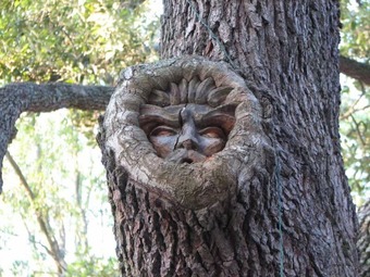 1203 Reserve Lane By Hodnett Cooper