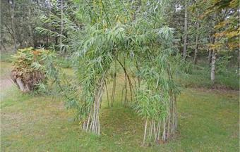 Holiday Home Rugmarken Strandby XI