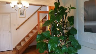 Drinkstone Park Bed & Breakfast And Gardens