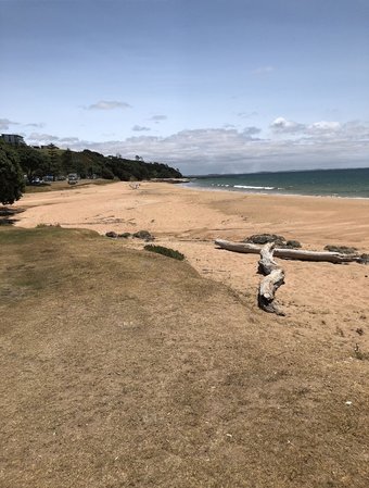 Apartamentos Driftwood Lodge