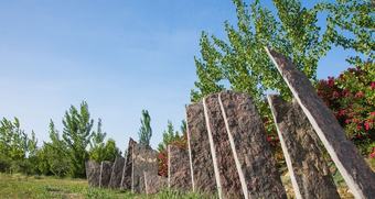 Hotel 26labrador - Adults Only