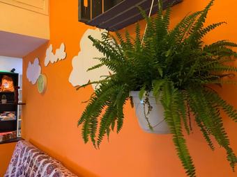 Apartment With One Bedroom In Genova, With Enclosed Garden And Wifi - 3 Km From The Beach