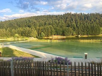 Chateau De Laforest Quito