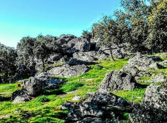 Villa With 5 Bedrooms In Santa Amalia, With Wonderful Mountain View, Private Pool, Enclosed Garden