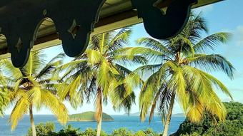 Villa With 2 Bedrooms In La Trinite, With Wonderful Sea View, Private Pool, Furnished Garden