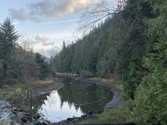 Harrison Lake Cottages
