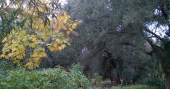 Hotel Maison Boughdira