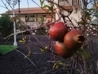 Boutique Holiday Home In Villaverde With Terrace