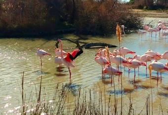 House With 3 Bedrooms In Mus, With Wonderful City View, Enclosed Garden And Wifi