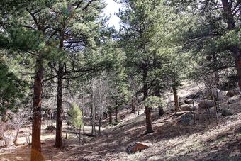 Timber Creek Chalets: 3