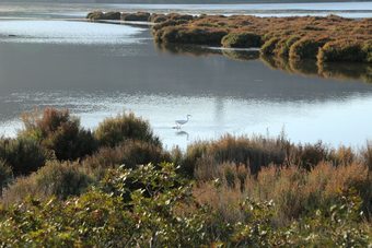 Bed & Breakfast Casa Maria