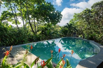 Posada Jungle Lodge At Wild Sun Rescue