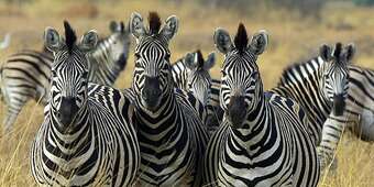 Hotel Rocky Hollow Guest Farm