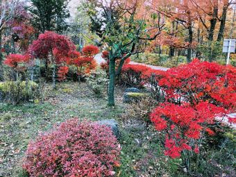 Hotel (entire House Star) Resort Spica