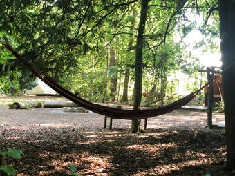 Hollington Park Glamping