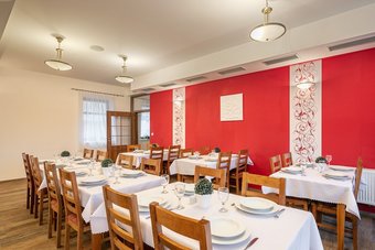 Pytloun Wellness Hotel Hasi?tejn